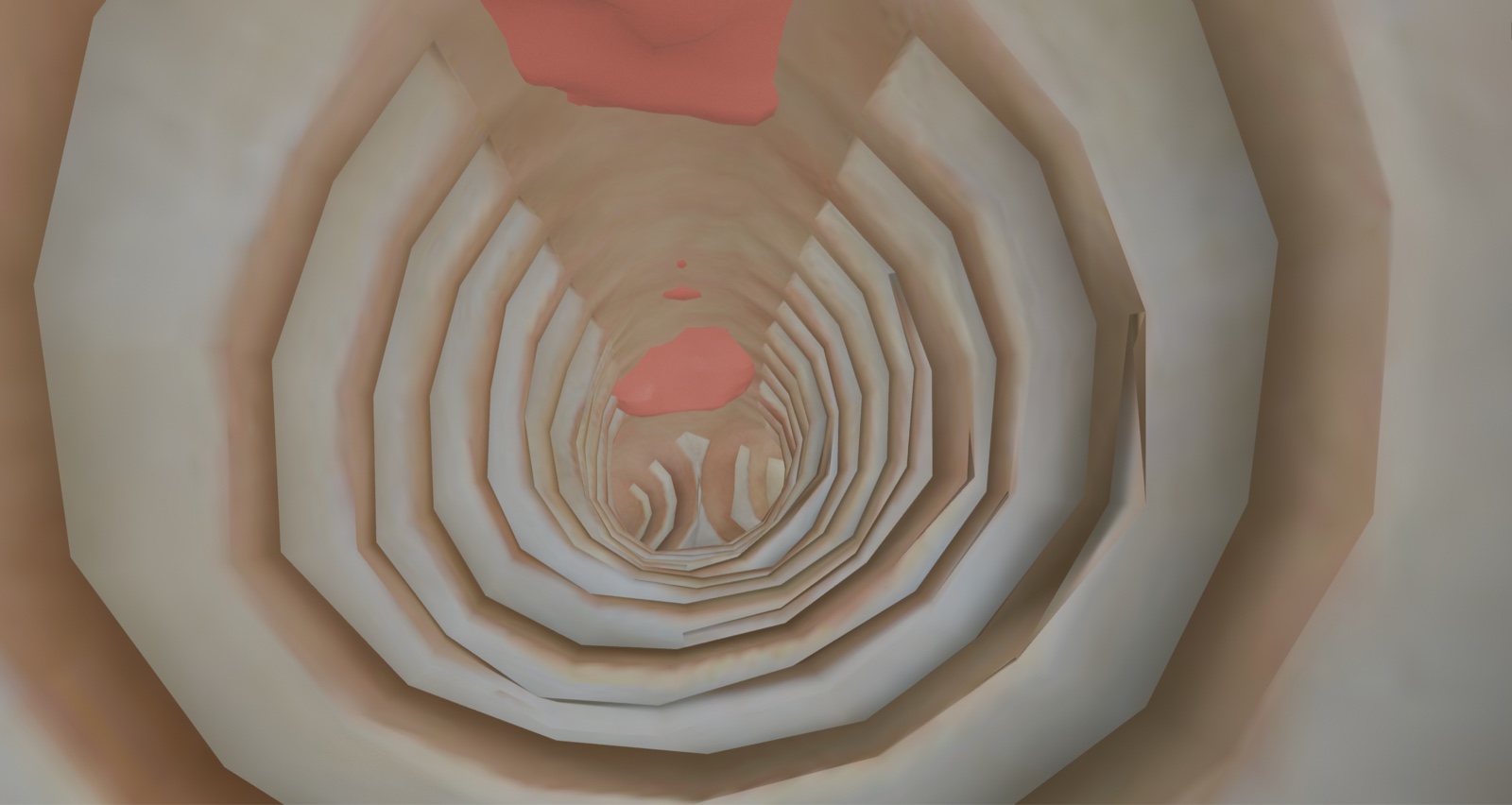 Blender-rendered guided endoscopic camera view inside a simplified airway model